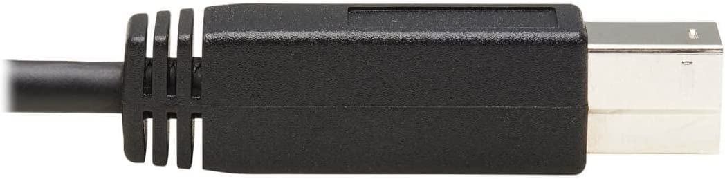 Tripp Lite USB C to USB Type B Cable USB Type C 3.1 Gen 2, 10 Gbps M/20In (U422-20N-G2)