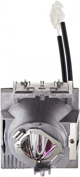 ViewSonic RLC-116 Projector Lamp