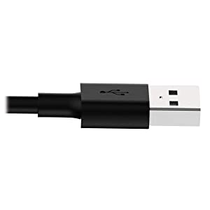 Tripp Lite Apple MFI Certified 10 inch Lightning to USB Cable Sync Charge iPhone/iPod/iPad - Black (M100-10N-BK) 10 in. Black