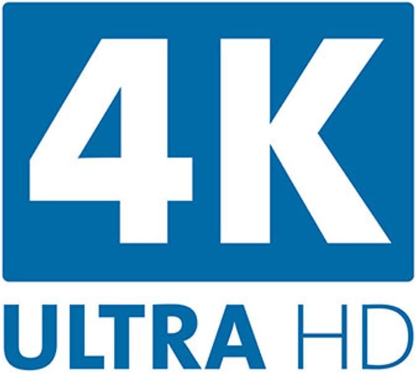 Kensington VP4000 DisplayPort to HDMI 4K Video Adapter (K33984WW),Black