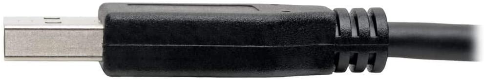 Tripp Lite USB C to USB A Cable, USB 3.1 Gen 1, Male to Male, Black, 6-ft. (U428-006) 6 ft. USB 3.1 Gen 1 Cable (M/M)