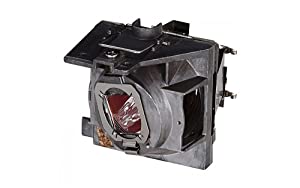ViewSonic RLC-109 Projector Replacement Lamp