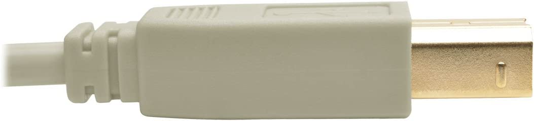 Tripp Lite 6 ft. USB 2.0 Hi-Speed A/B Cable (M/M), Type-A to Type-B, 28/24 AWG, 480 Mbps, Beige, 6' (U022-006-BE) 6 ft. Beige