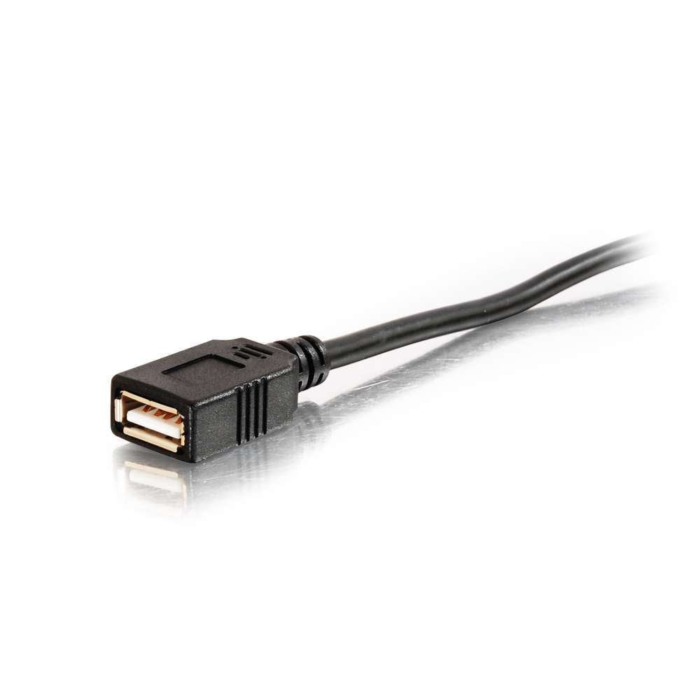 C2g/ cables to go C2G 38999 USB Active Extension Cable - USB 2.0 A Male to A Female Cable, Center Booster Format, Black (39.4 Feet, 12 Meters) USB A Male to A Female 39.4 Feet Black