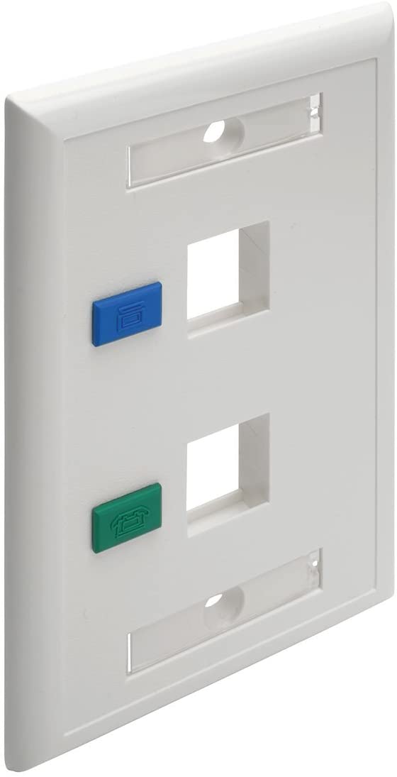 Tripp Lite Dual Outlet RJ45 Universal Keystone Face Plate / Wall Plate White, 2-Port(N042-001-WH)