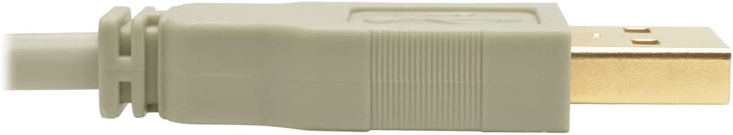 Tripp Lite 6 ft. USB 2.0 Hi-Speed A/B Cable (M/M), Type-A to Type-B, 28/24 AWG, 480 Mbps, Beige, 6' (U022-006-BE) 6 ft. Beige