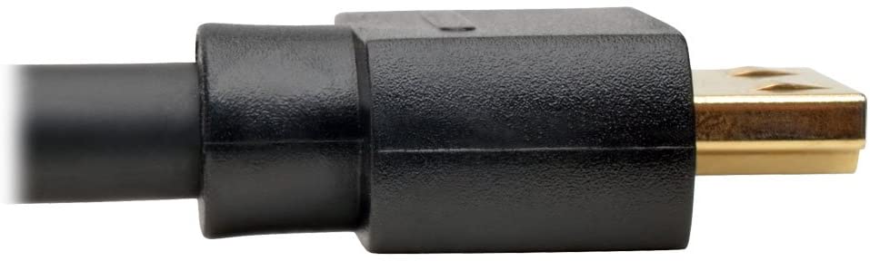 TRIPP Lite DisplayPort to HDMI Cable Adapter, DP to HDMI (M/M), DP2HDMI, 1080P, 10 ft. (P582-010),Black 10 ft. DisplayPort Adapter