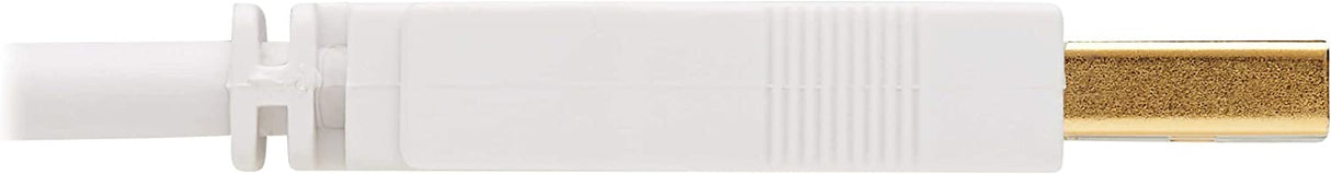 TRIPP LITE CONNECTIVITY U022AB-006-WH SAFE-IT USB-A TO USB-B CABLE