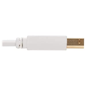Tripp Lite, Safe-IT, USB-A to USB-B, USB 2.0, Male-to-Male Cable, PVC VW-1 Jacket, White, 10 Feet / 3.05 Meters, Limited Life Manufacturer's Warranty (U022AB-010-WH) USB-A to USB-B 10 Feet / 3.05 Meters