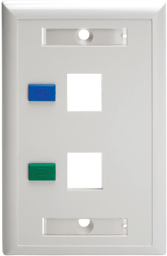 Tripp Lite Dual Outlet RJ45 Universal Keystone Face Plate / Wall Plate White, 2-Port(N042-001-WH)