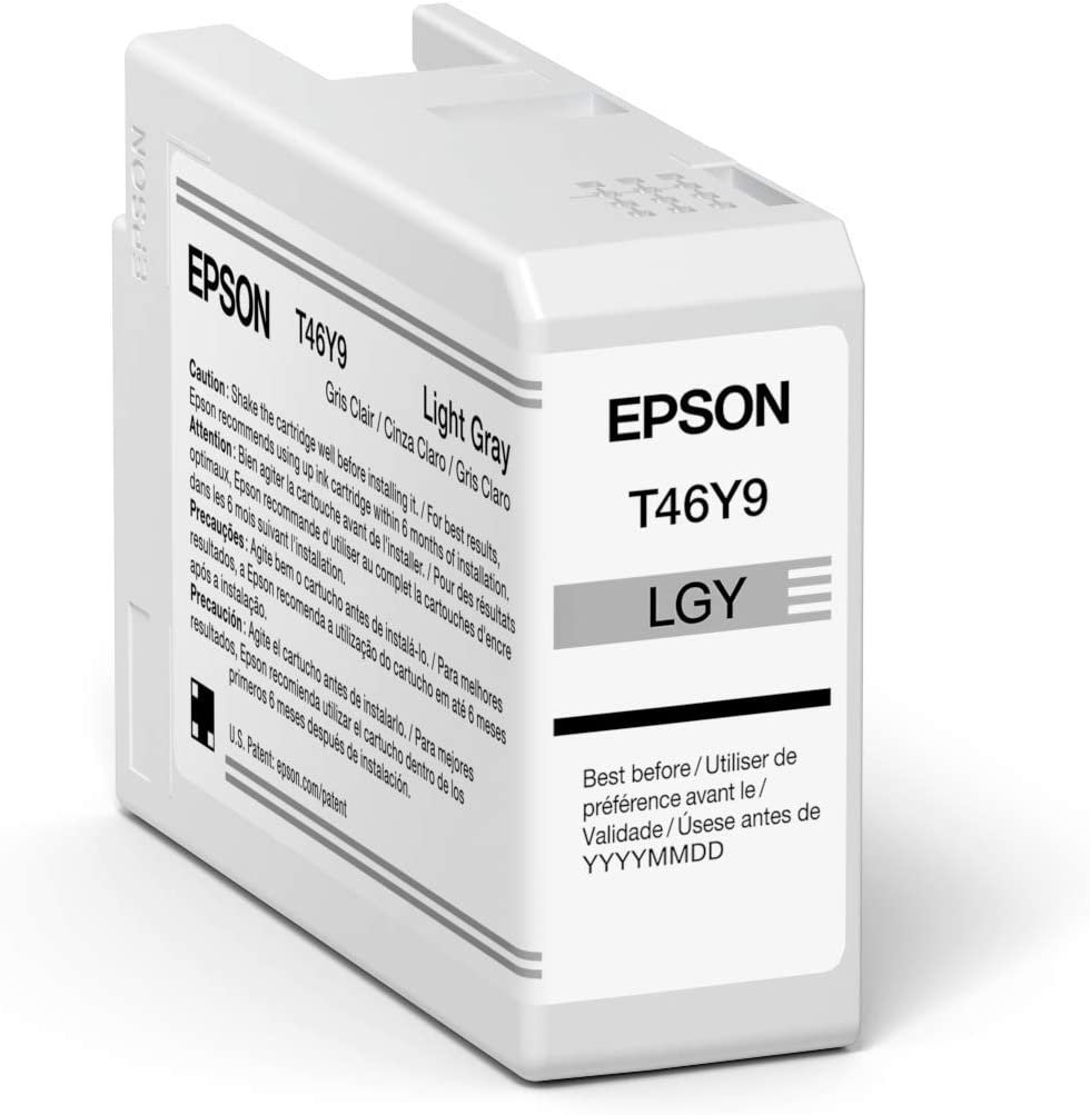 Epson Ultrachrome PRO10 -Ink - Light Gray (T46Y900), Standard