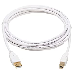 Tripp Lite, Safe-IT, USB-A to USB-B, USB 2.0, Male-to-Male Cable, PVC VW-1 Jacket, White, 10 Feet / 3.05 Meters, Limited Life Manufacturer's Warranty (U022AB-010-WH) USB-A to USB-B 10 Feet / 3.05 Meters