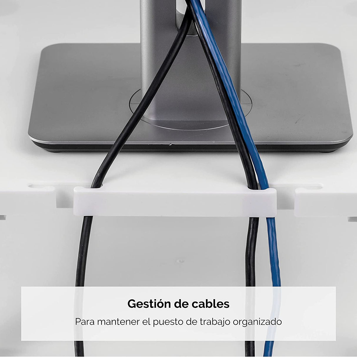 Fellowes Standard Monitor Riser (91712), Platinum/Graphite