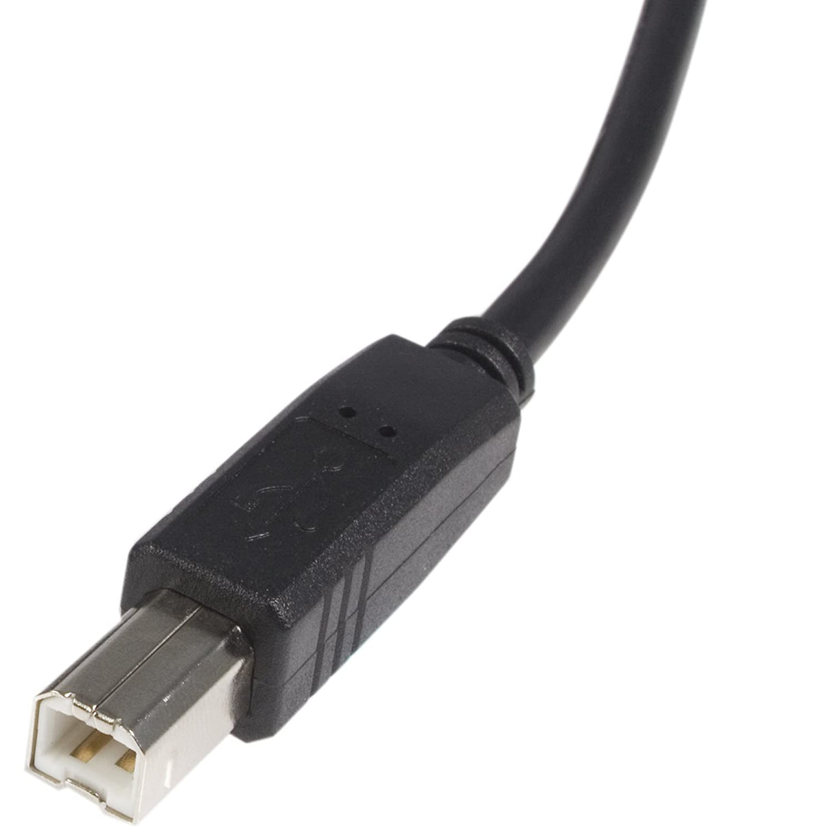 StarTech.com 6 ft. (1.8 m) USB Printer Cable - USB 2.0 A to B - Printer Cable - Black - USB A to B (USB2HAB6) Black 6 ft / 2m