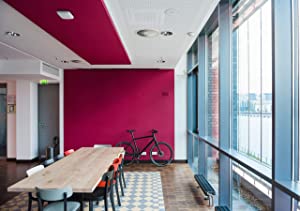 Cisco Systems Business 140AC Wi-Fi Access Point, 802.11ac, 2x2, 1 GbE Port, Ceiling Mount, Limited Lifetime Protection (CBW140AC-A-CA) CBW140AC / Ceiling or Wall / 1 pack