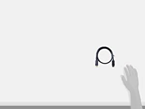 Addon networking Addon-Networking DISPLAYPORT3F 3' DisplayPort Cable, 3.3', Black - Dealtargets.com