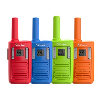 Cobra RX100-4 22-Channel Calling System