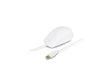Urban AWM68UF Factory Ip68 Mouse