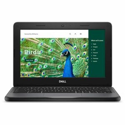 Dell Chromebook 3120 2in1 (2024) - Flip Design - Intel N-series - N100 / Up To 3.4 GHz - Chrome OS - UHD Graphics - 4 GB RAM - 64 GB eMMC - 11.6 IPS Touchscreen 1366 X 768 (HD) - Wi-Fi 6 - BTS - With 1 Year Mail-In Service - Disti SNS