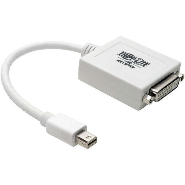 Tripp Lite Mini Displayport To DVI Adapter - Video Converter