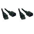 Tripp Lite Standard Computer Power Extension Cord 10A, 18AWG (IEC-320-C14 to IEC-320-C13) 1-ft.(P004-001) Black (Pack of 2) Black 1 Foot (Pack of 2)