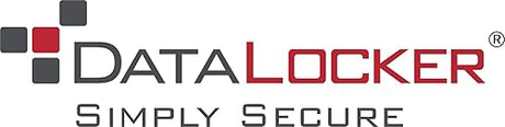 DataLocker Sentry K350 256GB Encrypted USB Flash Drive Keypad, Easy Screen Guided Setup AES 256, TAA Compliant Ruggedized Mil-Std 810-G, IP68 OS Independent, USB-A, FIPS 140-3 Level 3 Pending