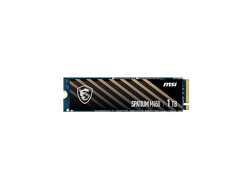 MSI SPATIUM M450 1 TB Solid State Drive - M.2 2280 Internal - PCI Express NVMe [PCI Express NVMe 4.0 x4]