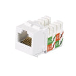 Black Box Network Services GIGATRUE2 CAT6 Jacks, Universal Wiring, Component Level, 25 Pack, White