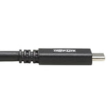 Tripp Lite USB C Cable USB 3.1 Gen 2, 5A Rating 10Gbps M/M USB Type C 20in (U420-20N-G2-5A)