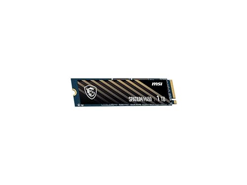 MSI SPATIUM M450 1 TB Solid State Drive - M.2 2280 Internal - PCI Express NVMe [PCI Express NVMe 4.0 x4]