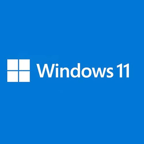 MS 1xWin 11 Pro for Wrkstns 64Bit (FR)