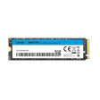 Lexar Disque SSD NM610 Pro 500Go - NVMe M.2 Type 2280