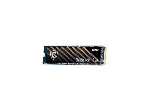 MSI SPATIUM M450 1 TB Solid State Drive - M.2 2280 Internal - PCI Express NVMe [PCI Express NVMe 4.0 x4]