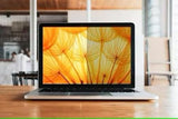 3M BPNAP007 Privacy Screen 16:10 Bright Screen MacBook Air 15 M2