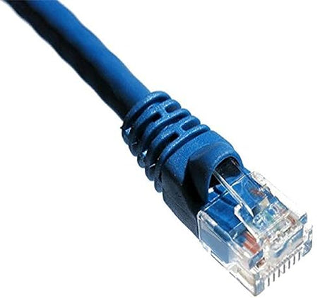 Axiom AX - Patch Cable - 3 ft - Blue