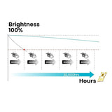 BenQ LH750 1080P 5000 Lumens Business Projector DLP LED Full HD, 98% REC.709, SmartEco Power Saving, Wi-Fi, Dual HDMI, 2D & Auto Keystone, 4K HDR Compatible, Screen Casting, 30,000 Hours lightsource