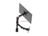 Monoprice 116246 Essential Dual Monitor Articulating Arm Desk Mount, Black