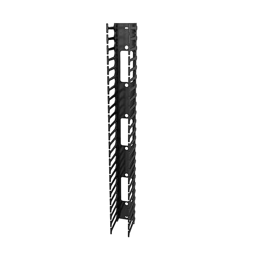 Liebert Vertical Cable Management Panel, Width 800mm