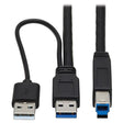 Tripp Lite USB-A to USB-B 25-Foot Active Repeater Extension Cable, USB 3.2 Gen 1, Male-to-Male, Up to 5 Gbps, Windows & macOS Compatible, 3-Year Warranty (U328-025-1)