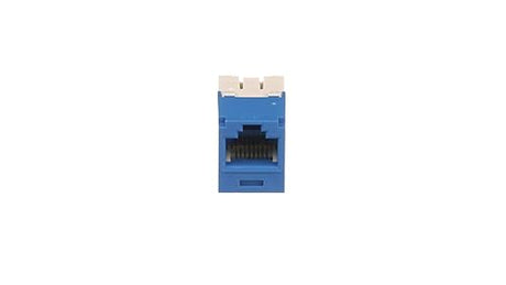 Panduit CJ688TGBU Category-6 8-Wire TG-Style Jack Module, Blue