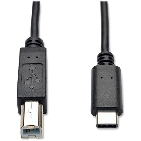 Tripp Lite USB 2.0 Hi-Speed Cable B Male to USB Type-C Male 6-Feet (U040-006) USB Type-B (M)