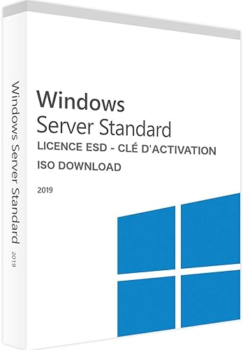 Microsoft Wind Server Software 2019 STD 64Bits FR (P73-07789)*5628