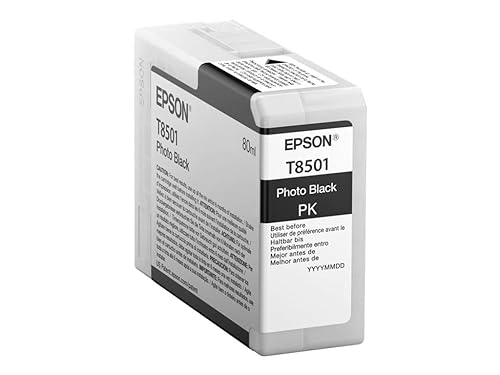 Epson T850100 T850 UltraChrome HD Photo Black Ink