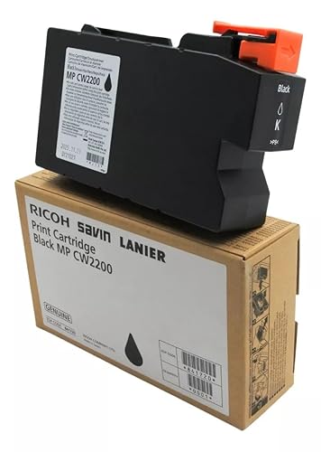 Ricoh Black Ink Cartridge (841720)
