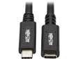 Tripp Lite USB-C Extension Cable (M/F), USB 3.2 Gen 2, Thunderbolt 3, Black, 10 Gbps, 60W Power Delivery Charging, 20 Volts 3 Amps, 20 inches / 0.5 Meters, (U421-20N-G2)