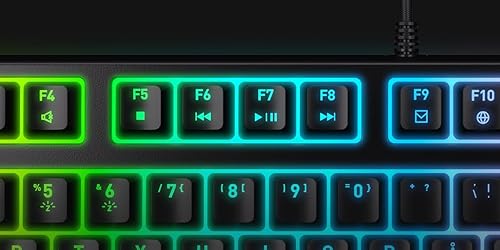 CHERRY XTRFY K4V2 TKL Mechanical Gaming Keyboard | Wired Without Number Keypad | RGB Lighting MX2A RED Switches (Black)