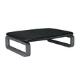 Kensington SmartFit Monitor Stand Plus for up to 24” Screens - Black (K52786WW)