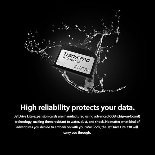 Transcend Information 256GB Jet Drive Lite 330 Storage Expansion Card for 13-Inch MacBook Pro (TS256GJDL330), Black/Silver