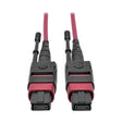 Tripp Lite 5M MTP MPO Multimode Patch Fiber Optic Cable 12 Fiber 40/100Gb OM4 50/125 CMP Magenta 16.4ft (N845-05M-12-MG)