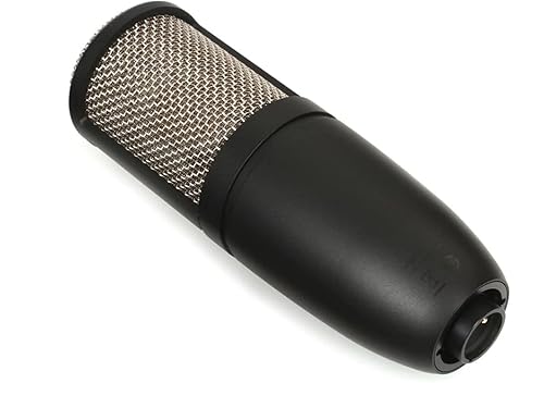 AKG P220 P220 Vocal Condenser Microphone